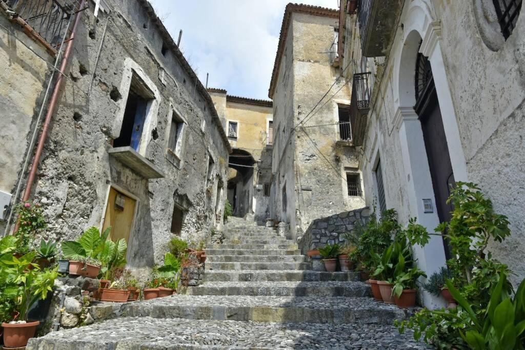 Riviera Dei Cedri Dimora Colibri A 100 M Dal Mare Apartment Scalea Exterior photo